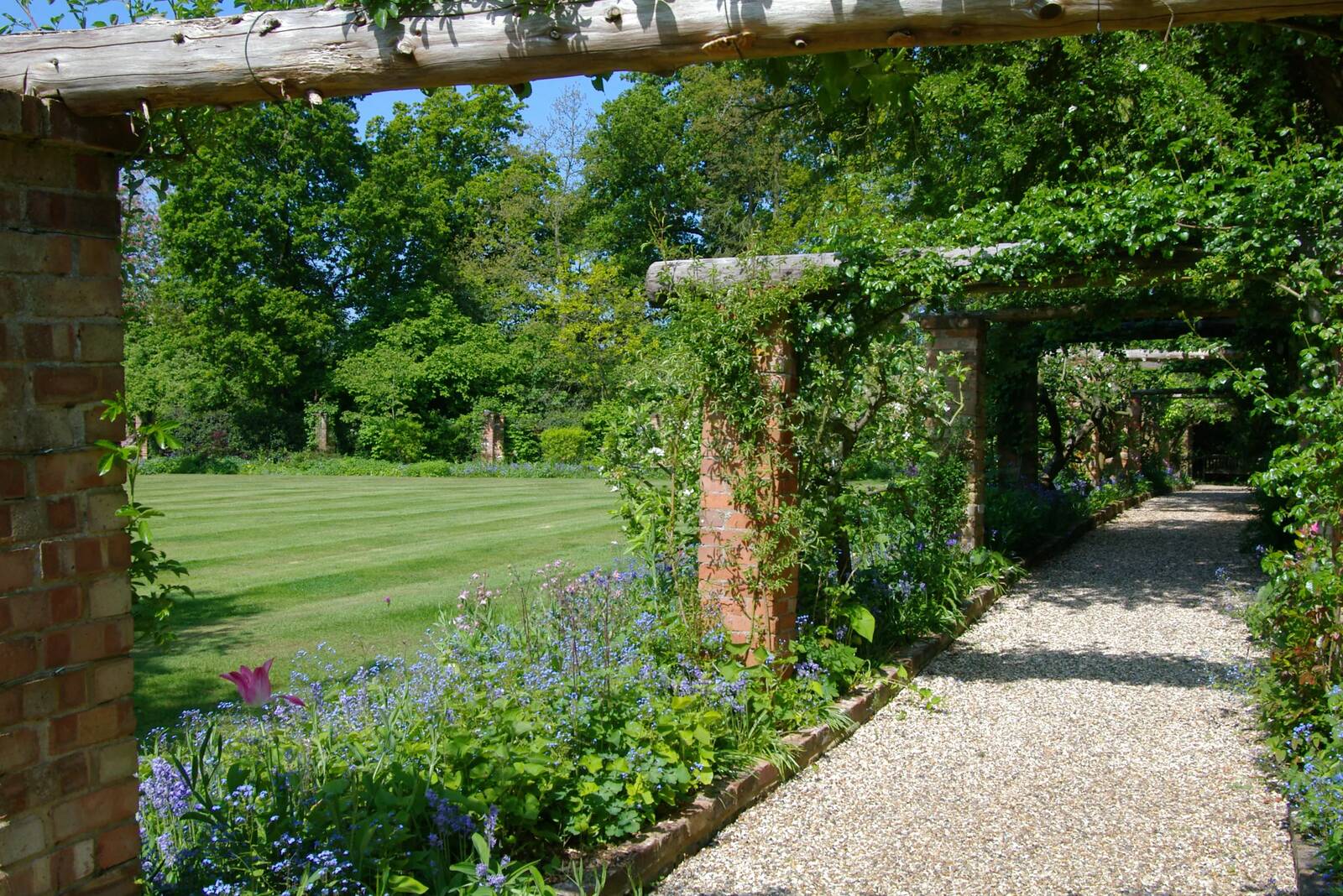 A gravel path running beneath a brick and timber pergola in the clinic grounds, with planted borders and lawn beyond.